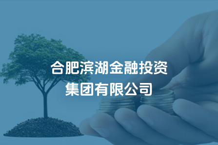 合肥尊龙网址登陆官网金融投资集团有限公司