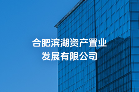 合肥尊龙网址登陆官网资产置业生长有限公司