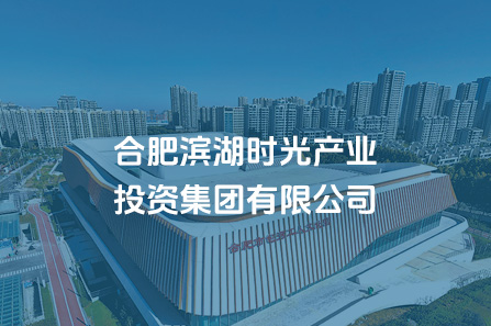 合肥尊龙网址登陆官网时光工业投资集团有限公司